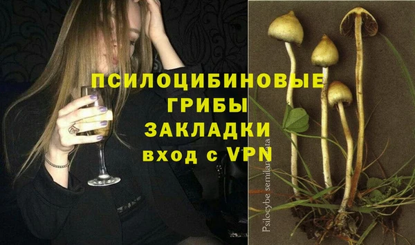 ПСИЛОЦИБИНОВЫЕ ГРИБЫ Алексеевка