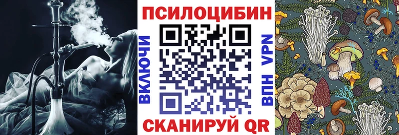 Псилоцибиновые грибы Cubensis  Цоци-Юрт 